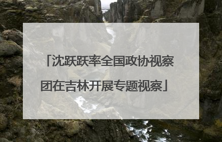 沈跃跃率全国政协视察团在吉林开展专题视察
