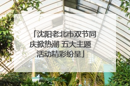 沈阳老北市双节同庆掀热潮 五大主题活动精彩纷呈