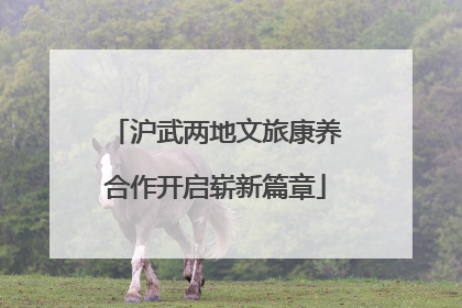 沪武两地文旅康养合作开启崭新篇章