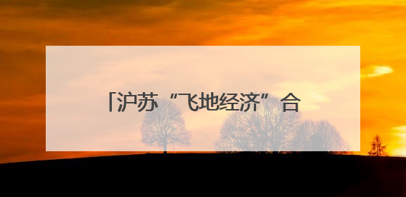 沪苏“飞地经济”合作新模式：以重大项目牵引产业链升级