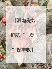 河南税务护航“三夏”保丰收