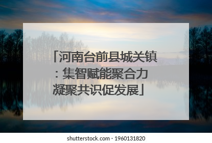 河南台前县城关镇：集智赋能聚合力 凝聚共识促发展