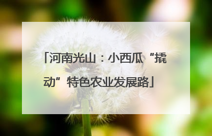 河南光山：小西瓜“撬动”特色农业发展路