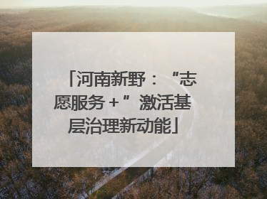 河南新野：“志愿服务＋”激活基层治理新动能