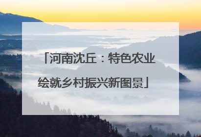 河南沈丘：特色农业绘就乡村振兴新图景