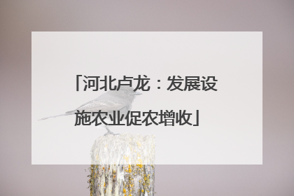 河北卢龙：发展设施农业促农增收