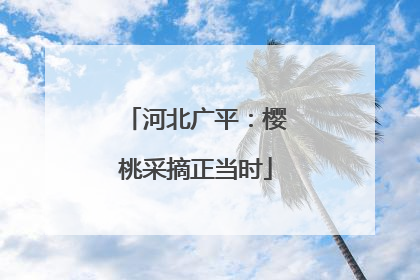 河北广平：樱桃采摘正当时