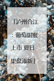 泸州合江：葡萄甜蜜上市 夏日果盘添新