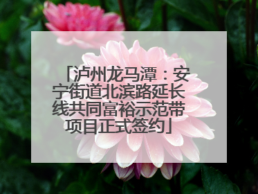 泸州龙马潭：安宁街道北滨路延长线共同富裕示范带项目正式签约