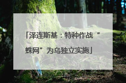 泽连斯基：特种作战“蛛网”为乌独立实施