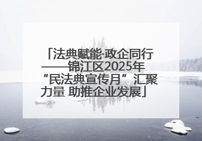 法典赋能·政企同行——锦江区2025年“民法典宣传月”汇聚力量 助推企业发展
