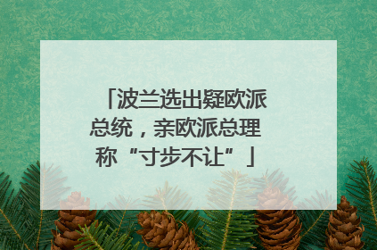 波兰选出疑欧派总统，亲欧派总理称“寸步不让”