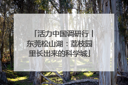 活力中国调研行丨东莞松山湖：荔枝园里长出来的科学城