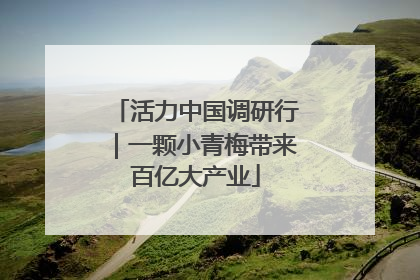 活力中国调研行｜一颗小青梅带来百亿大产业
