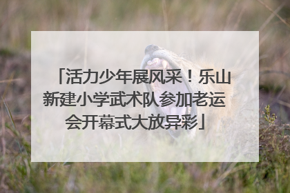 活力少年展风采！乐山新建小学武术队参加老运会开幕式大放异彩