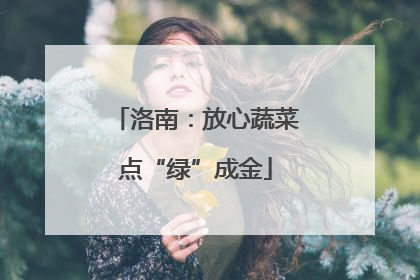 洛南：放心蔬菜点“绿”成金