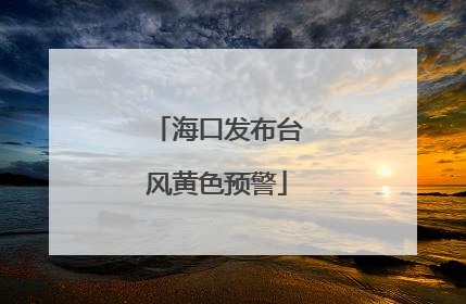 海口发布台风黄色预警