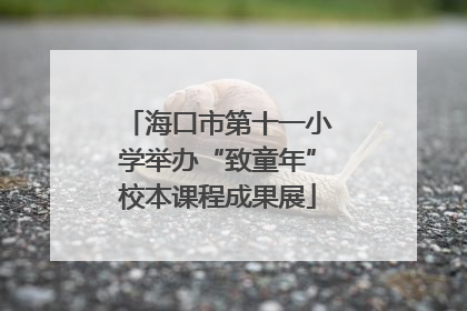 海口市第十一小学举办“致童年”校本课程成果展