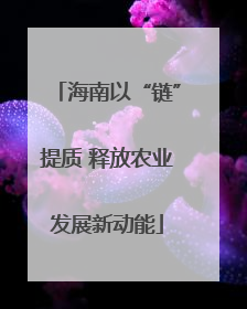 海南以“链”提质 释放农业发展新动能