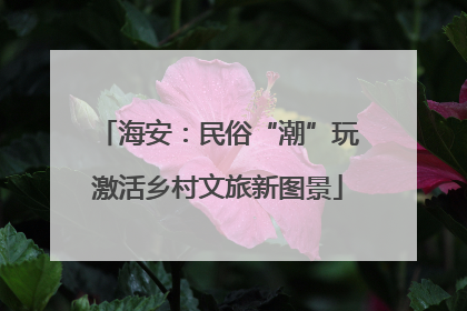 海安：民俗“潮”玩激活乡村文旅新图景