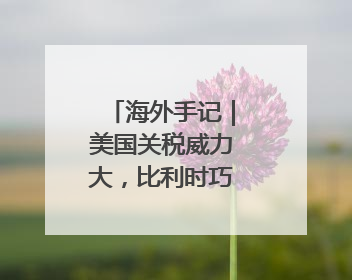 海外手记｜美国关税威力大，比利时巧克力都害怕