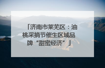 济南市莱芜区：油桃采摘节催生区域品牌“甜蜜经济”