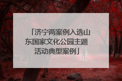 济宁两案例入选山东国家文化公园主题活动典型案例