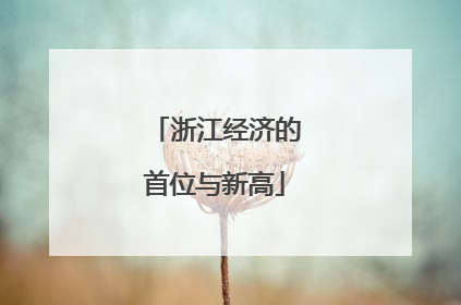 浙江经济的首位与新高
