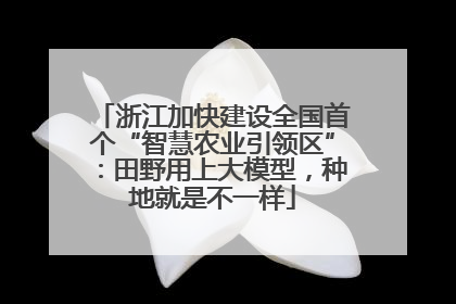 浙江加快建设全国首个“智慧农业引领区”：田野用上大模型，种地就是不一样