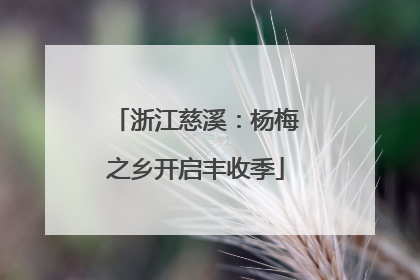 浙江慈溪：杨梅之乡开启丰收季