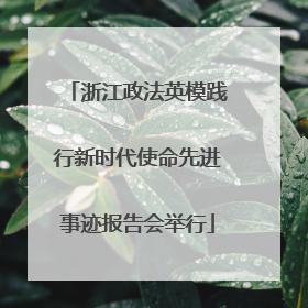 浙江政法英模践行新时代使命先进事迹报告会举行