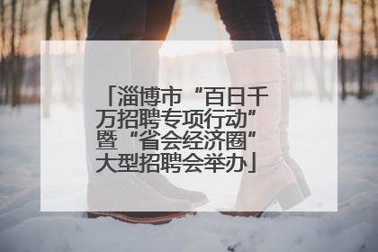 淄博市“百日千万招聘专项行动”暨“省会经济圈”大型招聘会举办