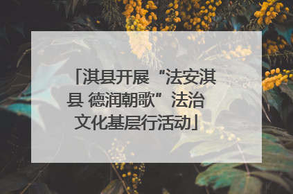淇县开展“法安淇县 德润朝歌”法治文化基层行活动