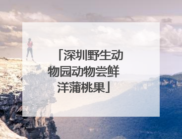 深圳野生动物园动物尝鲜洋蒲桃果
