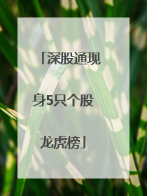 深股通现身5只个股龙虎榜