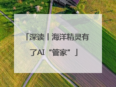 深读丨海洋精灵有了AI“管家”