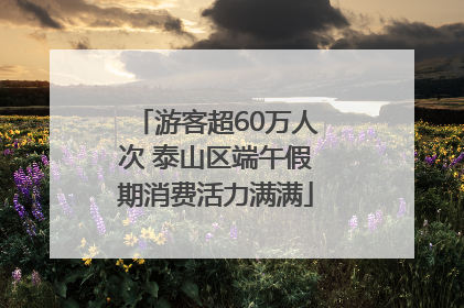 游客超60万人次 泰山区端午假期消费活力满满