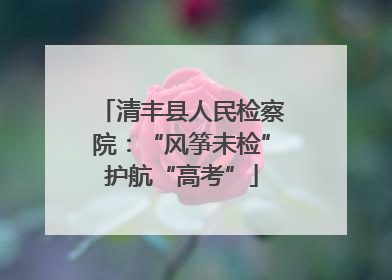 清丰县人民检察院：“风筝未检”护航“高考”