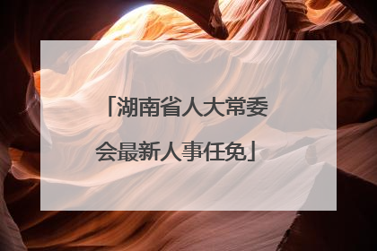湖南省人大常委会最新人事任免