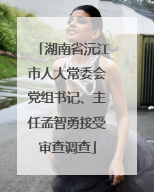 湖南省沅江市人大常委会党组书记、主任孟智勇接受审查调查