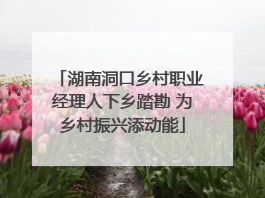 湖南洞口乡村职业经理人下乡踏勘 为乡村振兴添动能
