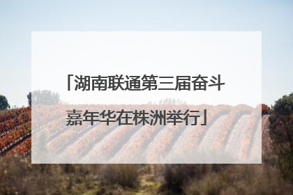 湖南联通第三届奋斗嘉年华在株洲举行