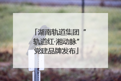 湖南轨道集团“轨道红·湘动脉”党建品牌发布