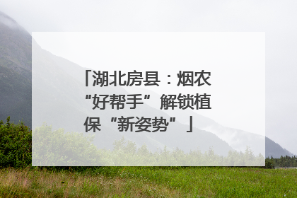 湖北房县：烟农“好帮手”解锁植保“新姿势”