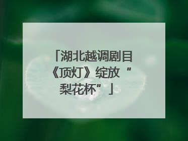 湖北越调剧目《顶灯》绽放“梨花杯”