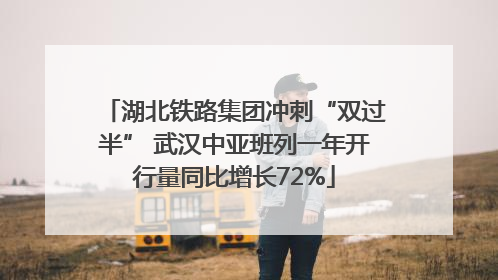 湖北铁路集团冲刺“双过半” 武汉中亚班列一年开行量同比增长72%