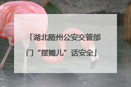 湖北随州公安交管部门“摆摊儿”话安全