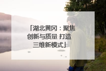 湖北黄冈：聚焦创新与质量 打造三维新模式