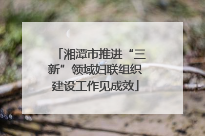 湘潭市推进“三新”领域妇联组织建设工作见成效