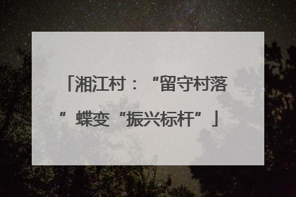 湘江村：“留守村落”蝶变“振兴标杆”
